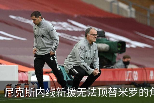 尼克斯内线新援无法顶替米罗的角色，他只需要做他自己就好？